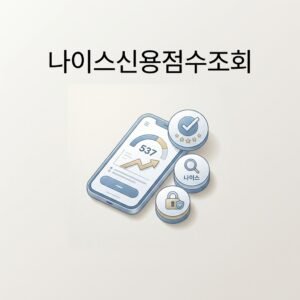 나이스신용점수조회